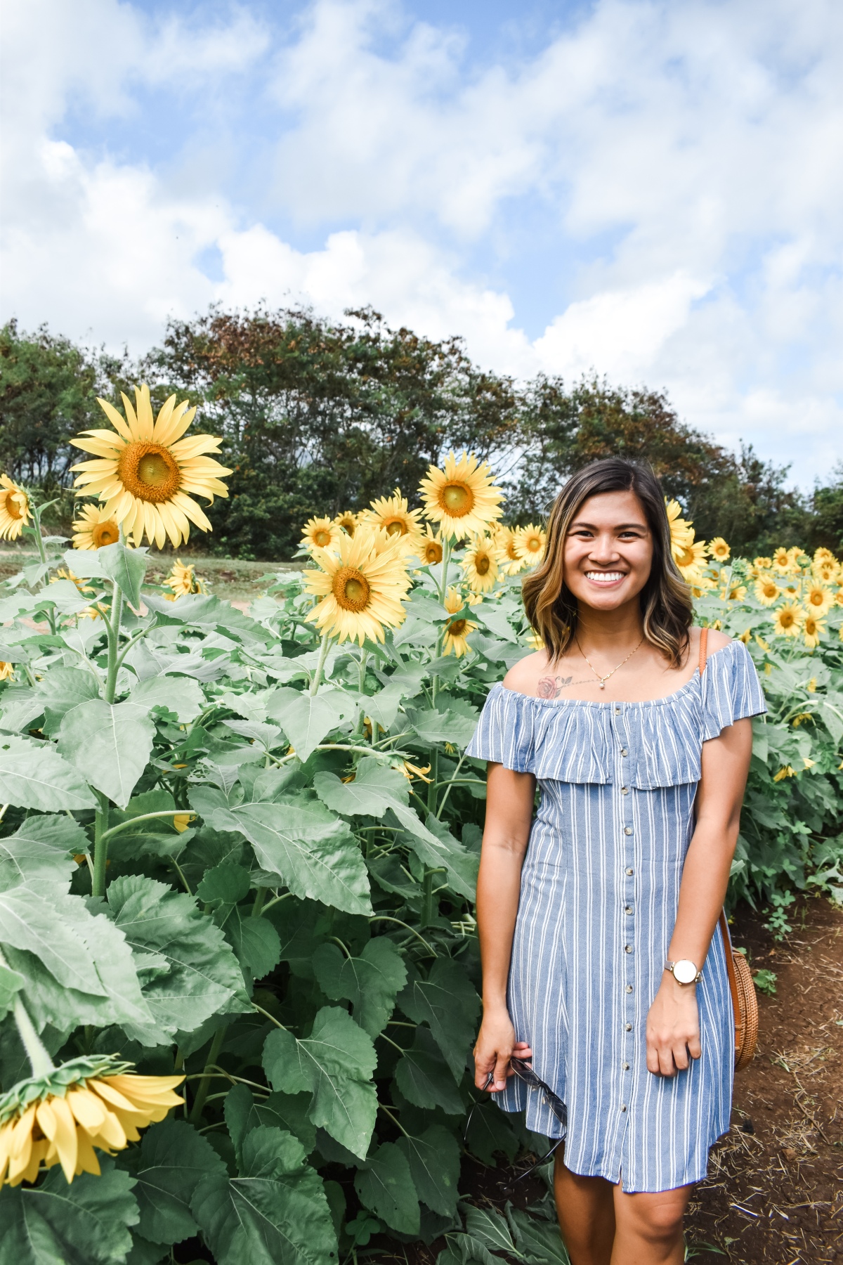 Waimanalo Country Farms: Pumpkin Patch & Sunflower Fields